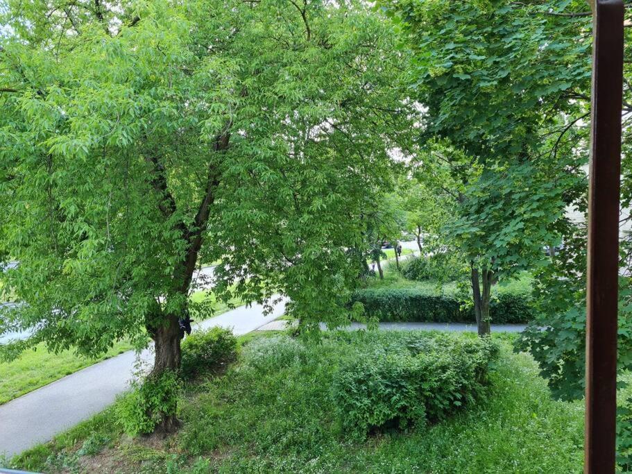 Apartament Kraszewskiego - Retro, Blisko Starowki, Kolo Parku, Ogrod Dla Gosci, Rowery Free Торунь Экстерьер фото