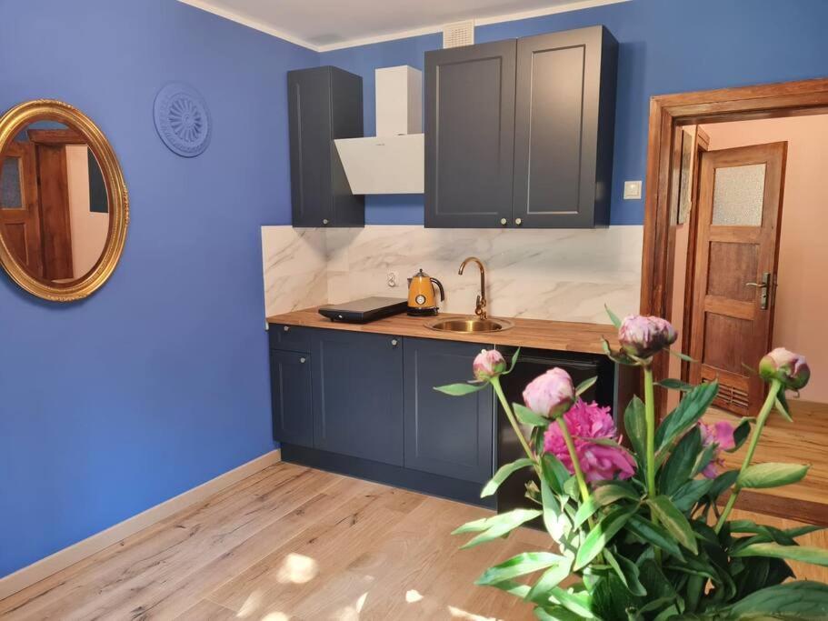 Apartament Kraszewskiego - Retro, Blisko Starowki, Kolo Parku, Ogrod Dla Gosci, Rowery Free Торунь Экстерьер фото
