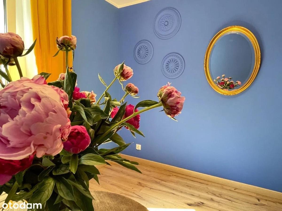 Apartament Kraszewskiego - Retro, Blisko Starowki, Kolo Parku, Ogrod Dla Gosci, Rowery Free Торунь Экстерьер фото